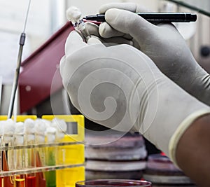 Test tube stand showing Durham`s tube in Sugar media demonstrati