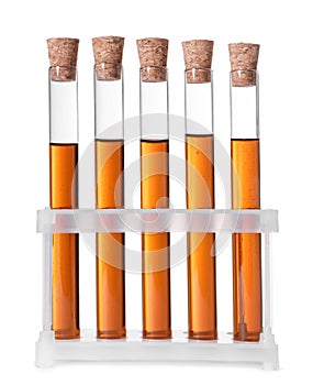 Test tubes with brown liquid in stand on white background