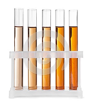 Test tubes with brown liquid in stand on white background