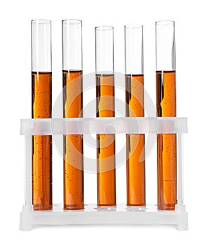 Test tubes with brown liquid in stand on white background