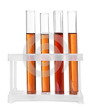 Test tubes with brown liquid in stand on white background