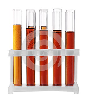 Test tubes with brown liquid in stand on white background