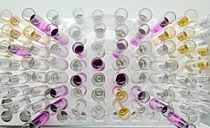 Test tubes with colorful liquid specimens