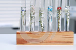 Test tubes with different plants on white table in laboratory, closeup