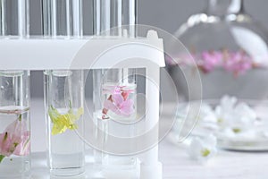 Test tubes with flowers in laboratory, closeup. Extracting essential oil for perfumery and cosmetics