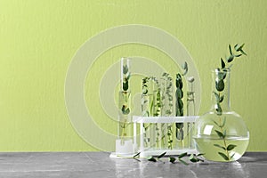 Test tubes, graduated cylinder and flask with plants on table against green background. Space for text