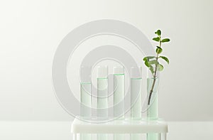 Test tubes with liquid and mint on white background.