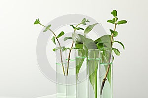 Test tubes with liquid and plants on white background.
