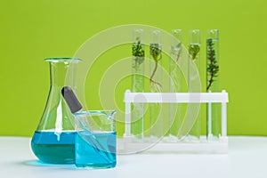 Test tubes and other laboratory glassware with different plants on green background