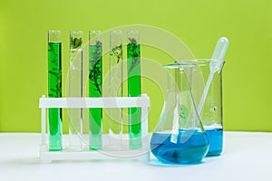 Test tubes and other laboratory glassware with different plants on green background