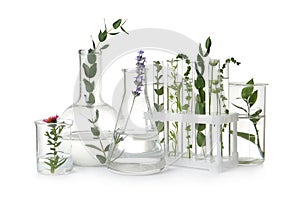 Test tubes and other laboratory glassware with plants on white background photo