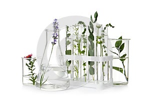 Test tubes and other laboratory glassware with plants on white background