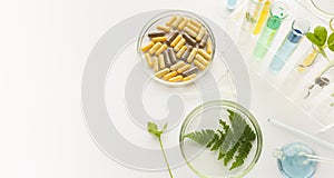 Test tubes with plants in a holder, vitamins on a light background, laboratory