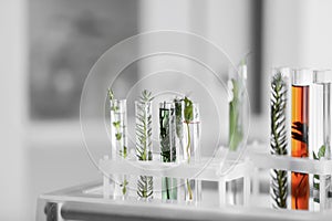 Test tubes with plants and liquids in holder on shelf