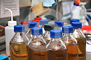 Test water samples in the laboratory of water treatment plant