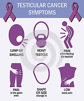 Testicular cancer symptoms. Infographics. Pictogram icons. Testicular ribbon. Men s health infographics. photo