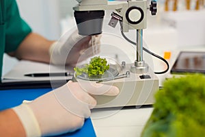 Testing of genetically modified food in the laboratory
