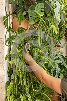 Testing the moisture content