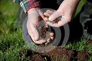 Testing the soil.