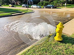 Testing yellow fire hydrant gushing water across a residential street near Dallas, Texas, USA