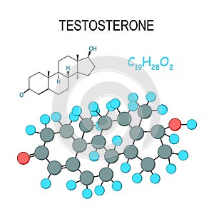 Testosterone. Chemical structural formula and model of molecule. C19H28O2