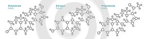 Testosterone, Estrogen, Progesterone. Male and Female Sex Hormones. Structural Chemical Formula and Molecule Model. Line Design.