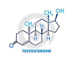 Testosterone formula. Vector thin line icon of testosterone molecular structure