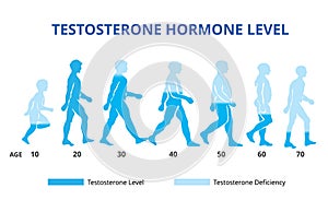 Testosterón hormón úrovne graf vektor 