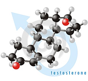 Testosterone molecule 2