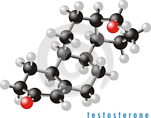 Testosterone molecule