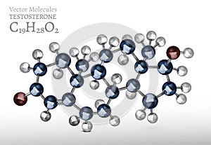 Testosterone Molecule Image
