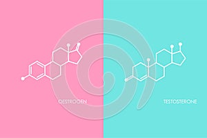 Testosterone and Oestrogen molecula structure. Blue and pink line icon isolated on white background photo