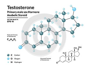 Testosterone. Primary Male Sex Hormone. Structural Chemical Molecular Formula and 3d Model