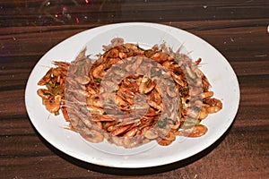 Testy river shrimps