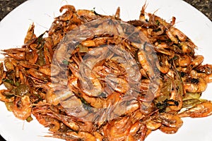 Testy river shrimps