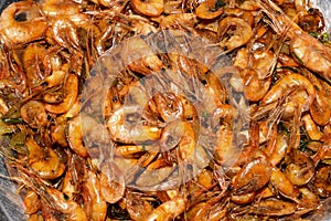 Testy river shrimps