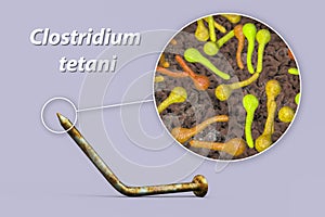 Tetanus. Bacteria Clostridium tetani and rusty metal nail