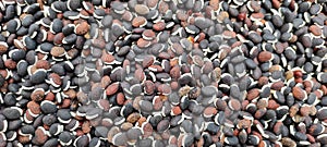 Tetapech gray and red mitted cowpea seeds image