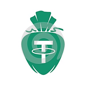 Tether money bag sign symbol icon