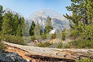 Teton Hiking Trail through the Foothills