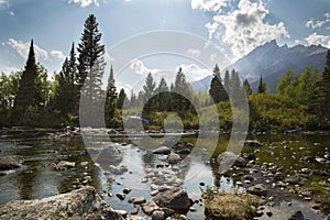 Teton Mountains and pine trees, Cottonwood Creek, Jackson Hole,