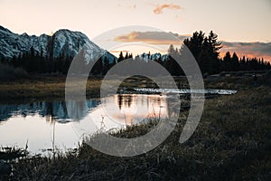 Teton Range reflected on beaver pond at Schwabacher Landing, Grand Teton National Park, Wyoming