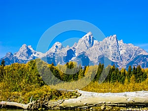 Tetons in Color