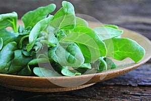 Tetragonia tetragonioides, New Zealand spinach on wooden background photo