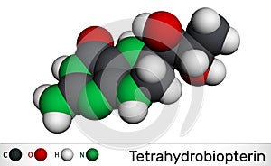 Tetrahydrobiopterin, BH4, THB, sapropterin molecule. It has role as coenzyme, diagnostic agent, human metabolite, cofactor.