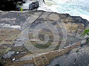 The Tetrapod Trackway in Valencia Island, IRELAND, which is comprises the fossilised footprints of a 385 million year old tetrapod