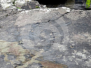 The Tetrapod Trackway in Valencia Island, IRELAND, which is comprises the fossilised footprints of a 385 million year old tetrapod