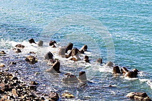 Tetrapods breakwaters on Black Sea coast