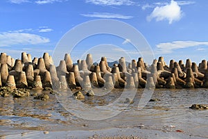 Tetrapods is concrete used as a breaking wave