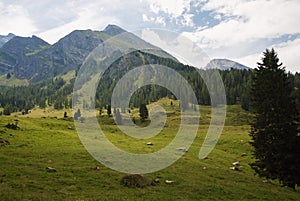 Tettensjoch in Austrian Alps